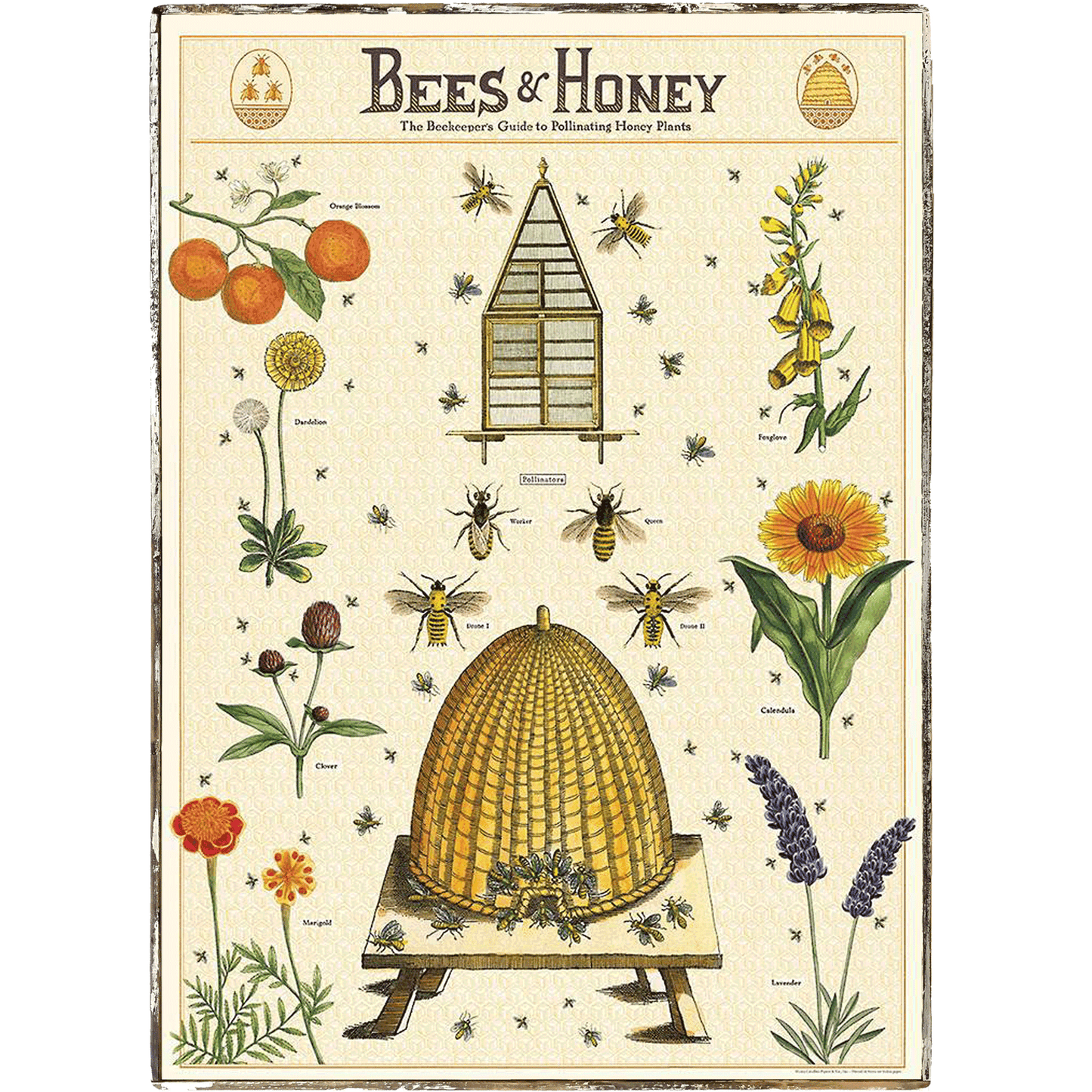 Bees & Honey Beekeepers Guide Framed Poster - true RED betty