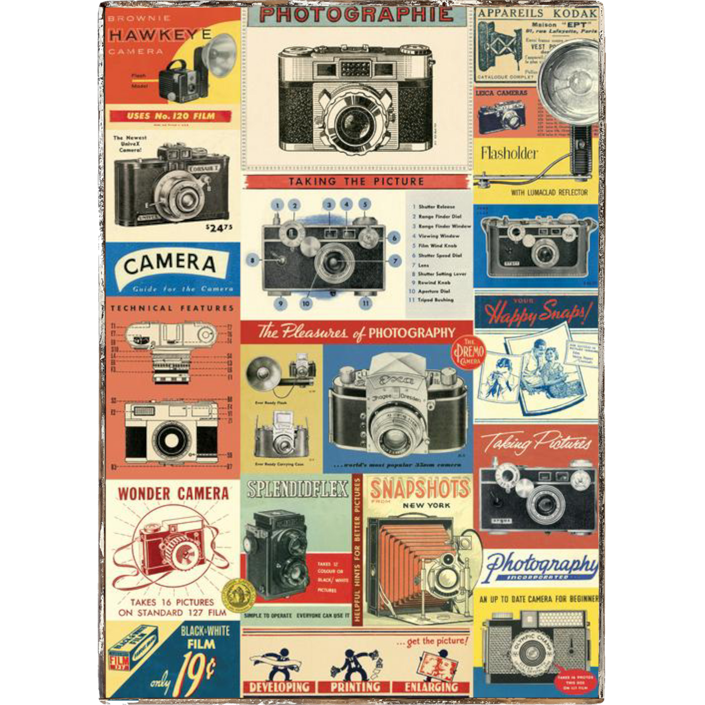 Photography Framed Cavallini Poster