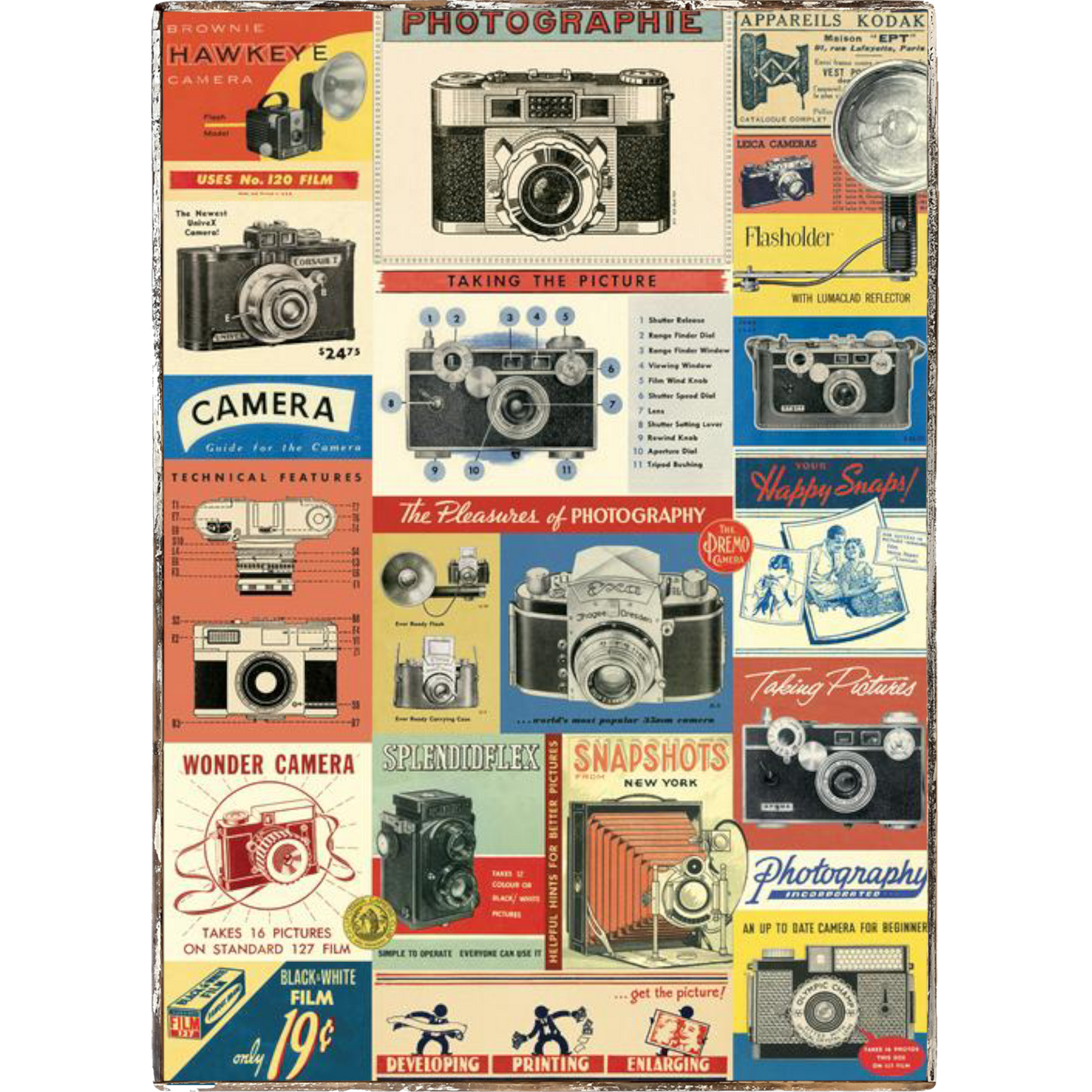 Photography Framed Cavallini Poster