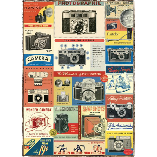 Photography Framed Cavallini Poster