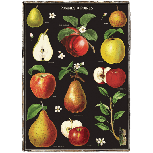 Apples and Pears Framed Poster - true RED betty