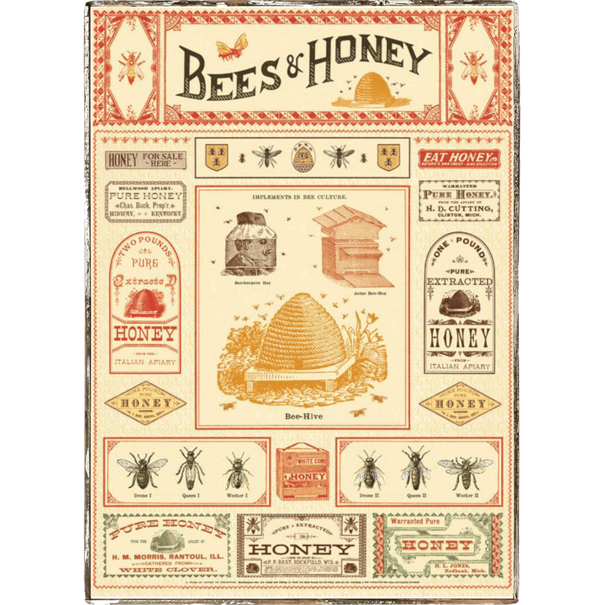 Bees & Honey Framed Poster - true RED betty