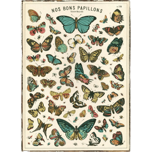 Butterfly Nos Bons Framed Poster - true RED betty