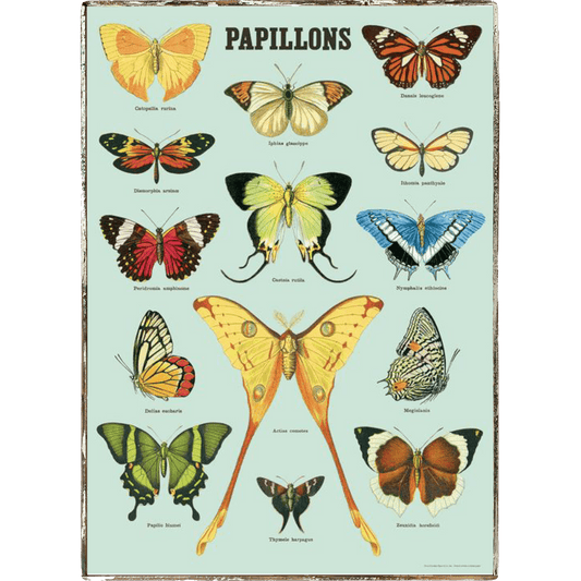 Butterfly Papillon Framed Poster - true RED betty