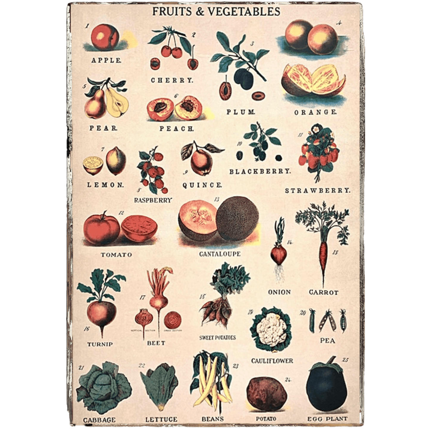 Fruits & Vegetables Framed Poster - true RED betty