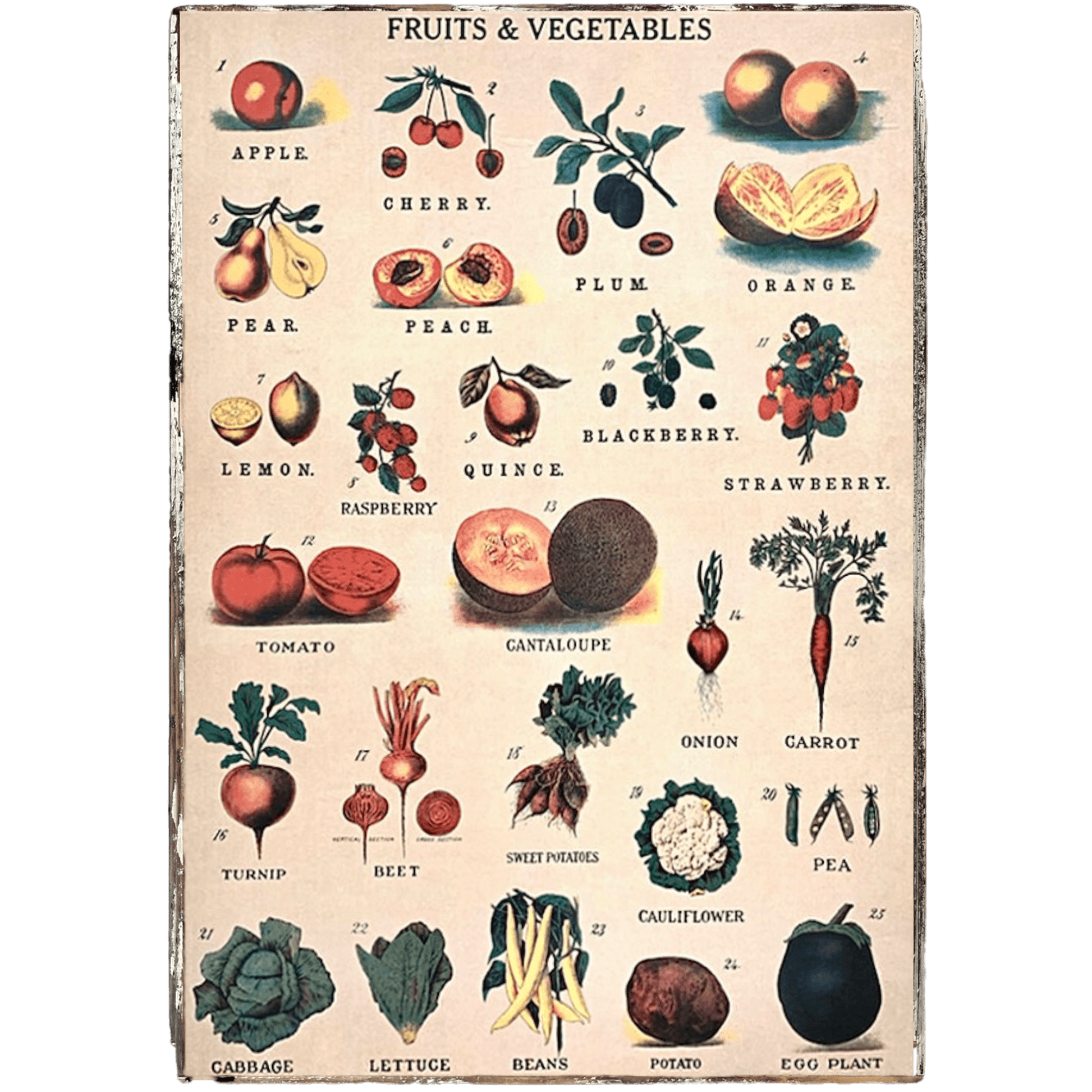 Fruits & Vegetables Framed Poster - true RED betty