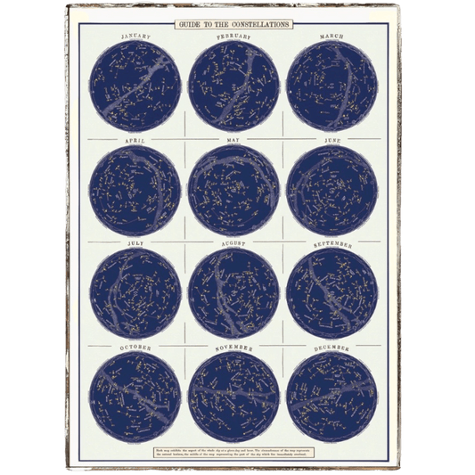 Guide to the Constellations Framed Poster - true RED betty